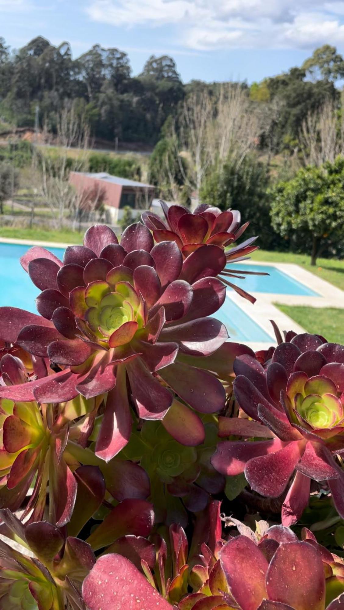 Quinta De Villasete Alpendurada Εξωτερικό φωτογραφία