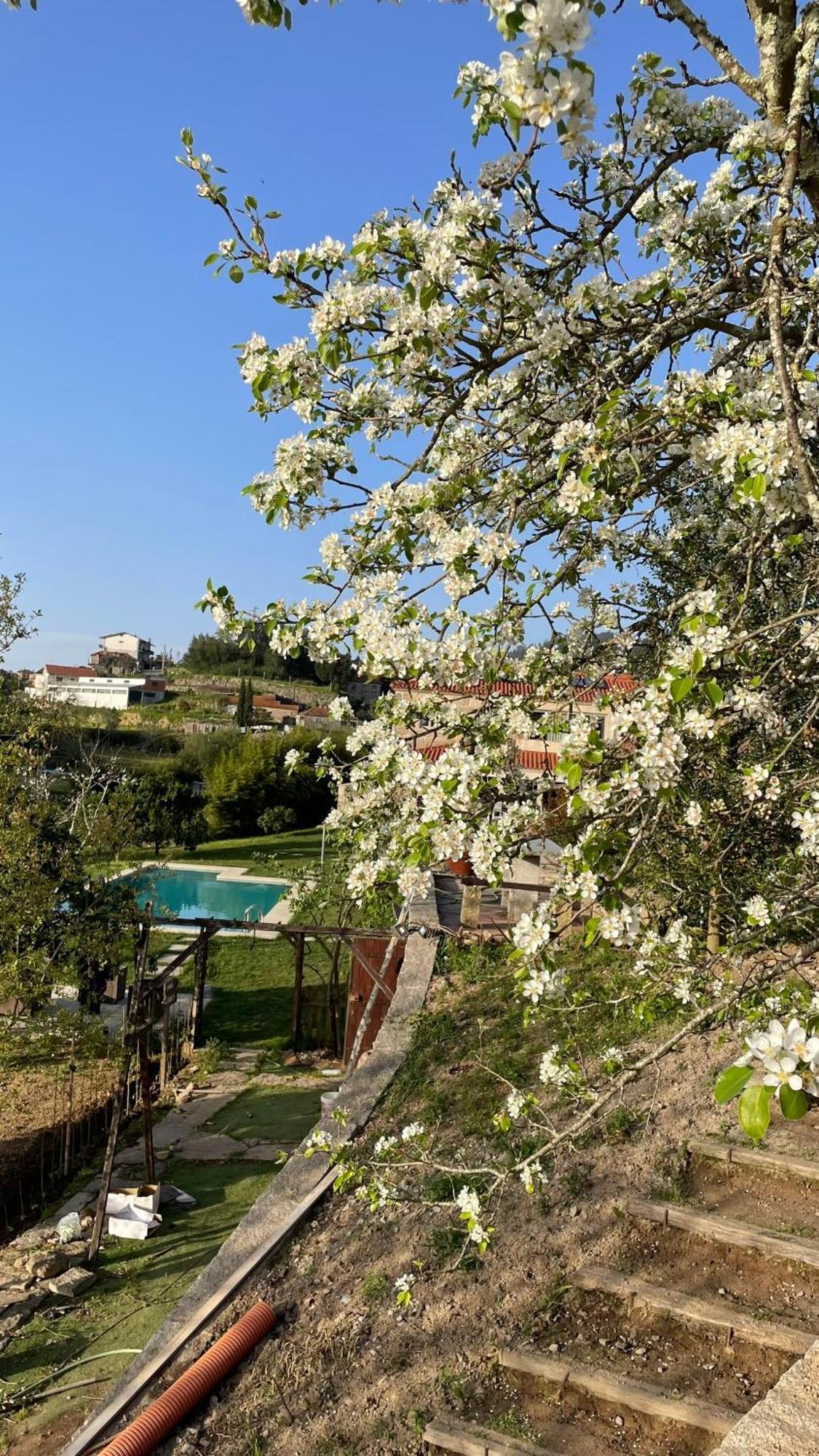 Quinta De Villasete Alpendurada Εξωτερικό φωτογραφία