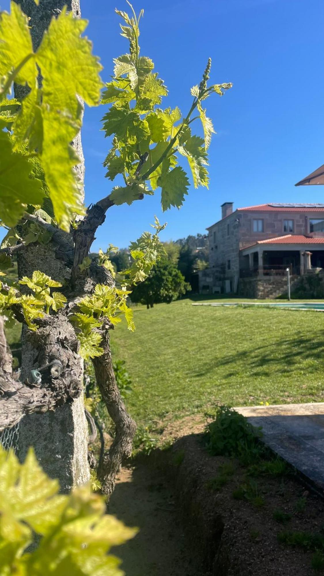 Quinta De Villasete Alpendurada Εξωτερικό φωτογραφία