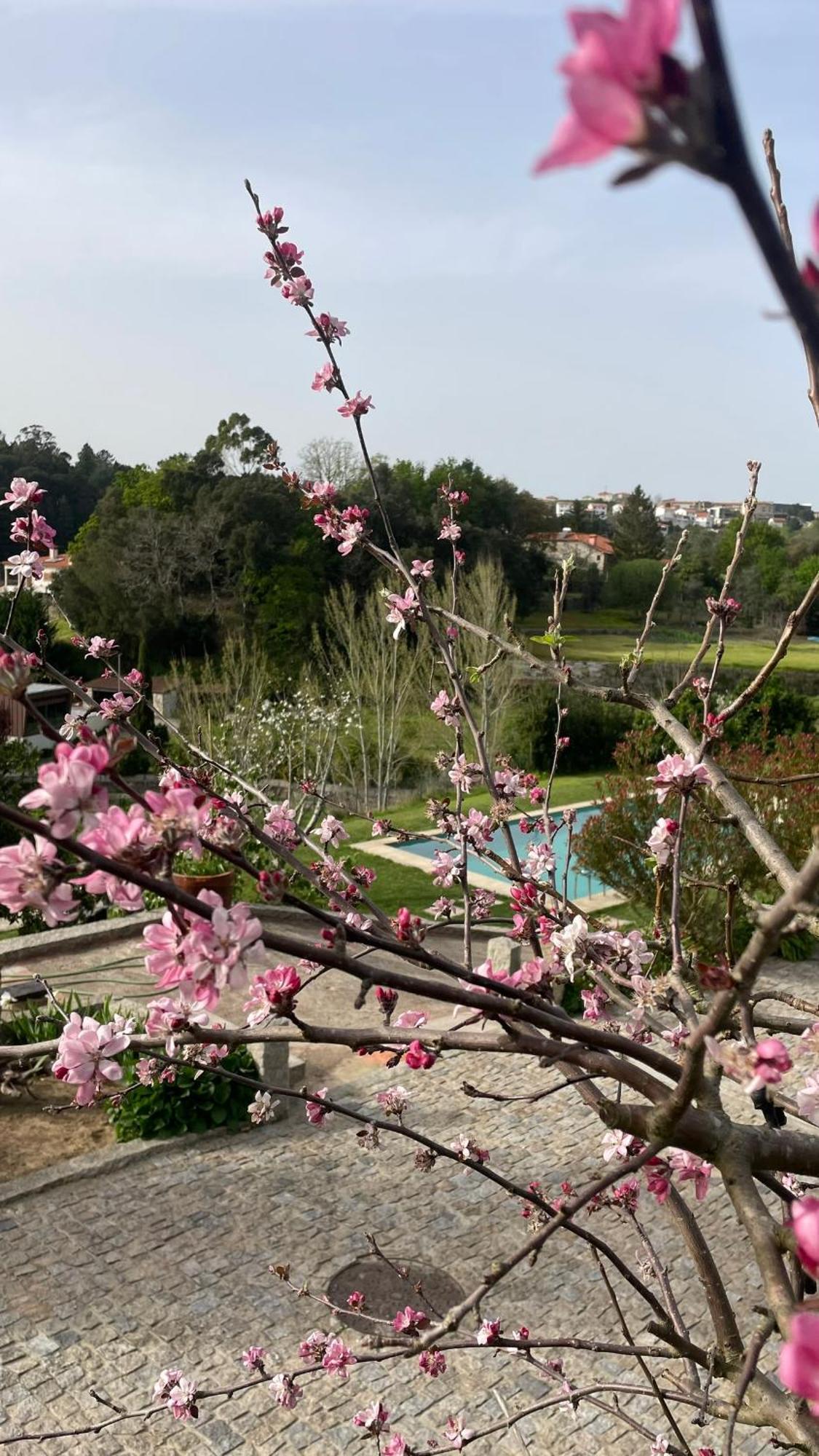 Quinta De Villasete Alpendurada Εξωτερικό φωτογραφία