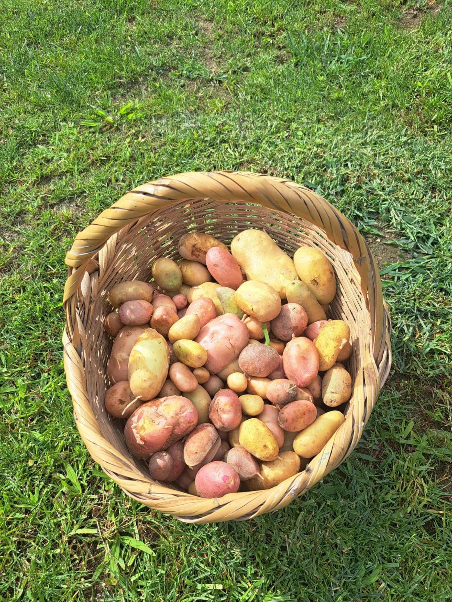 Quinta De Villasete Alpendurada Εξωτερικό φωτογραφία