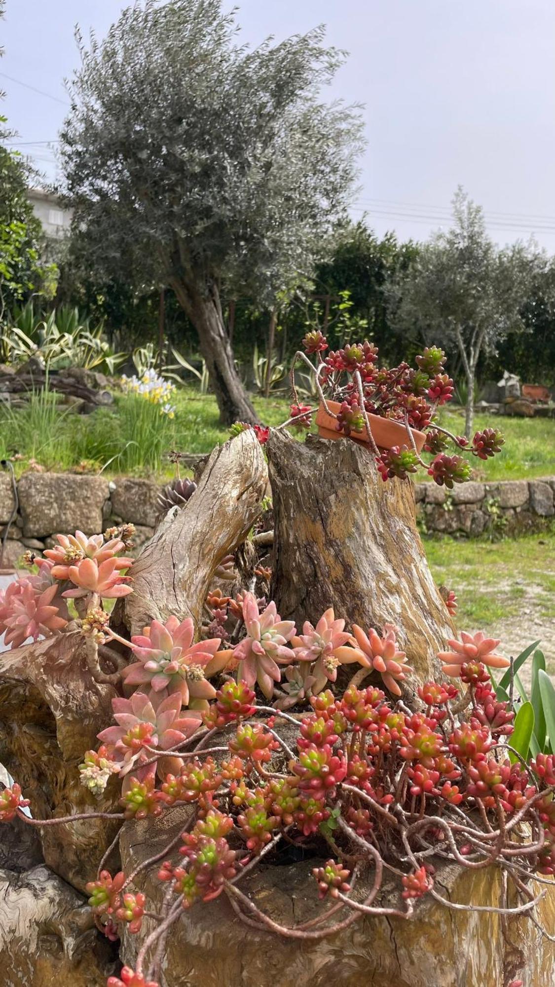 Quinta De Villasete Alpendurada Εξωτερικό φωτογραφία