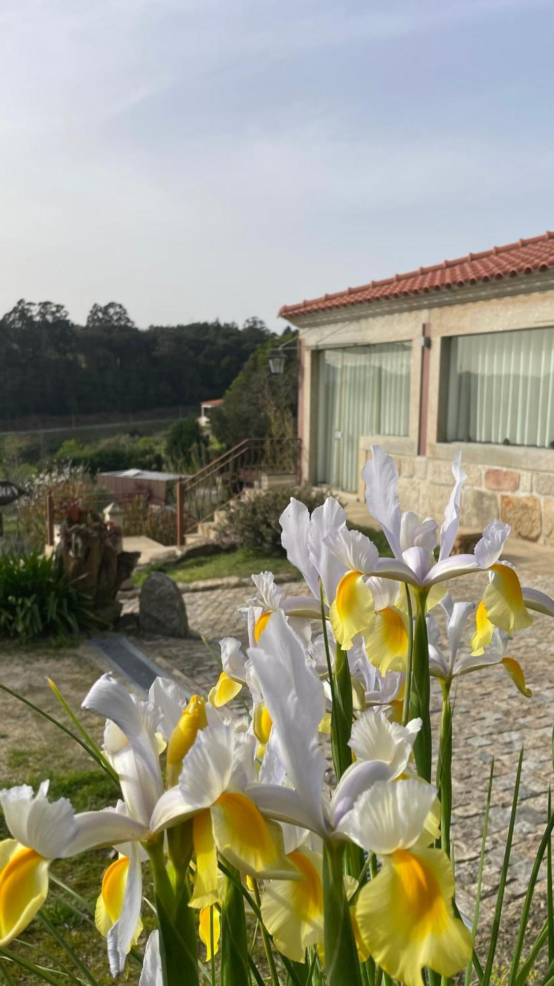 Quinta De Villasete Alpendurada Εξωτερικό φωτογραφία