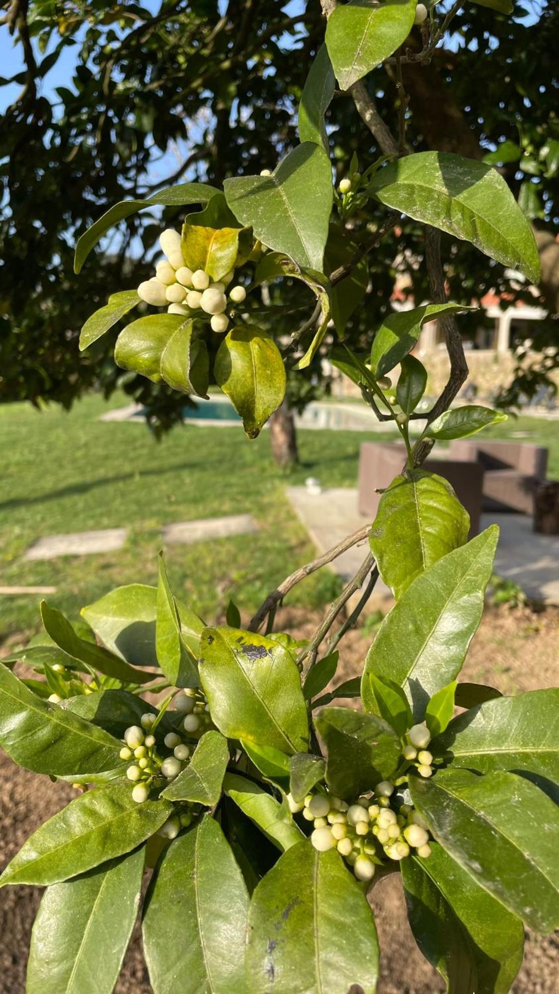 Quinta De Villasete Alpendurada Εξωτερικό φωτογραφία