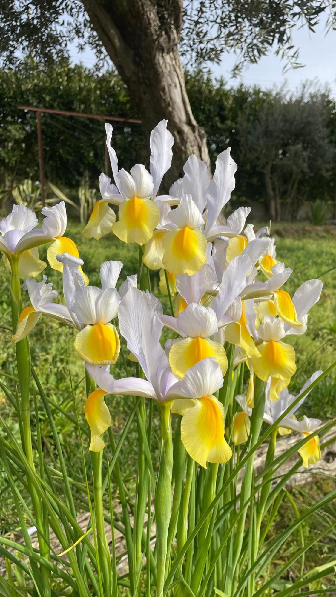 Quinta De Villasete Alpendurada Εξωτερικό φωτογραφία